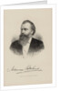 Portrait of the composer Johannes Brahms, 1870 by Anonymous