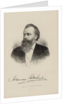 Portrait of the composer Johannes Brahms, 1870 by Anonymous