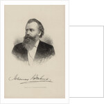 Portrait of the composer Johannes Brahms, 1870 by Anonymous
