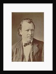 Portrait of the composer Johannes Brahms, 1875 by Anonymous