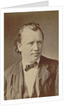 Portrait of the composer Johannes Brahms, 1875 by Anonymous