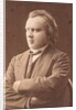 Portrait of the composer Johannes Brahms, 1872 by Anonymous