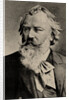 Portrait of the composer Johannes Brahms by Anonymous