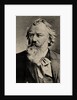Portrait of the composer Johannes Brahms by Anonymous