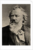 Portrait of the composer Johannes Brahms by Anonymous