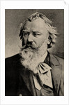 Portrait of the composer Johannes Brahms by Anonymous