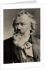 Portrait of the composer Johannes Brahms by Anonymous