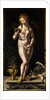 Vanitas, 1520-1524 by Anonymous