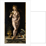 Vanitas, 1520-1524 by Anonymous