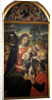 Madonna della Pace, ca 1489 by Anonymous