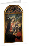 Madonna della Pace, ca 1489 by Anonymous