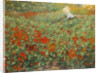 The garden, 1893 by Anonymous
