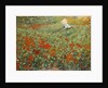 The garden, 1893 by Anonymous