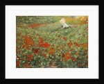 The garden, 1893 by Anonymous