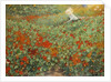 The garden, 1893 by Anonymous