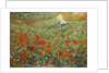The garden, 1893 by Anonymous