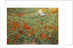 The garden, 1893 by Anonymous