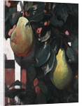 Pears, 1920 by Anonymous