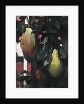 Pears, 1920 by Anonymous