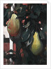 Pears, 1920 by Anonymous