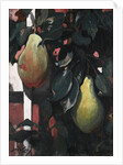 Pears, 1920 by Anonymous