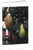 Pears, 1920 by Anonymous