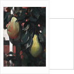 Pears, 1920 by Anonymous
