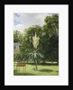 Yucca Gloriosa in the Park at Neuilly, 1845 by Anonymous