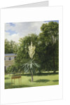 Yucca Gloriosa in the Park at Neuilly, 1845 by Anonymous