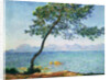 Antibes, 1888 by Anonymous