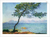 Antibes, 1888 by Anonymous