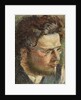 Portrait of Antonin Prochazka, 1905 by Anonymous