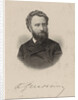 Portrait of the pianist und composer Friedrich Gernsheim, 1875 by Anonymous