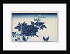 Aizuri-e with flowers, by Anonymous