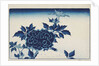 Aizuri-e with flowers, by Anonymous