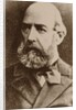 Alexander Ivanovich Palm, 1860s by Anonymous