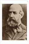 Alexander Ivanovich Palm, 1860s by Anonymous