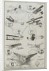 Aviation pioneers  of France, 1910 by Anonymous