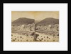 Bad Ems, 1874 by Anonymous