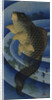 Carp (Koi), c. 1830-1840 by Anonymous