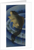 Carp (Koi), c. 1830-1840 by Anonymous