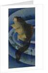 Carp (Koi), c. 1830-1840 by Anonymous