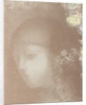 Childs Head with Flowers (Tête denfant avec fleurs), 1897 by Anonymous