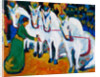 Circus horses dressage, 1908-1909 by Anonymous