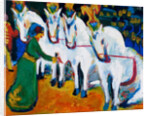 Circus horses dressage, 1908-1909 by Anonymous