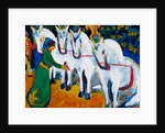 Circus horses dressage, 1908-1909 by Anonymous
