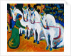 Circus horses dressage, 1908-1909 by Anonymous