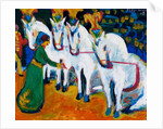 Circus horses dressage, 1908-1909 by Anonymous