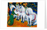 Circus horses dressage, 1908-1909 by Anonymous