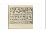 Diamonds. Above right - Great Mogul Diamond by Anonymous